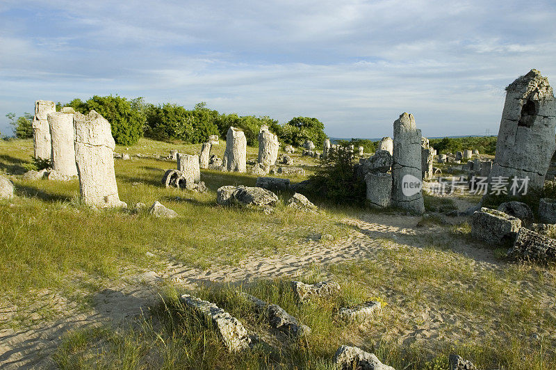 岩石现象Pobiti Kamani(石林)